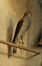 Quadro olio artistico