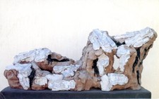 LEONCILLO. Mostra antologica. galleria Arco Farnese, Roma 1990