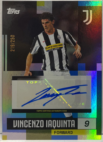 Vincenzo iaquinta 219 - iaquinta, 219/250