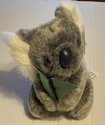 Australia jackie koala orso - australia,