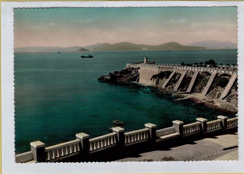 142545 piombino veduta piazza - veduta,