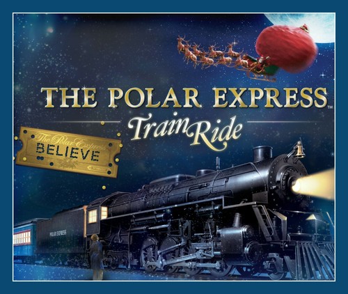 Coperta polar express pile - express,
