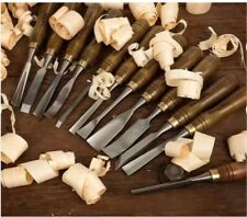 Set 12 scalpelli/sgorbie per