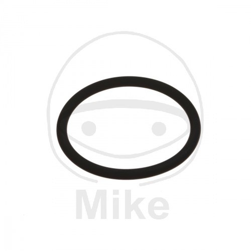 Guarnizione scarico ring - guarnizione, o-ring