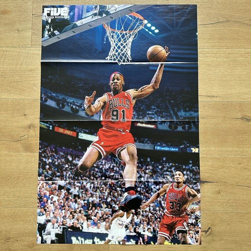 Dennis rodman chicago bulls - rodman,