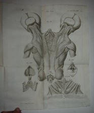 MEDICINA - fig. 1815 - 16 TAVOLE - PALUDI PONTINE