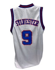 Costume sylvester tune squad - sylvester,