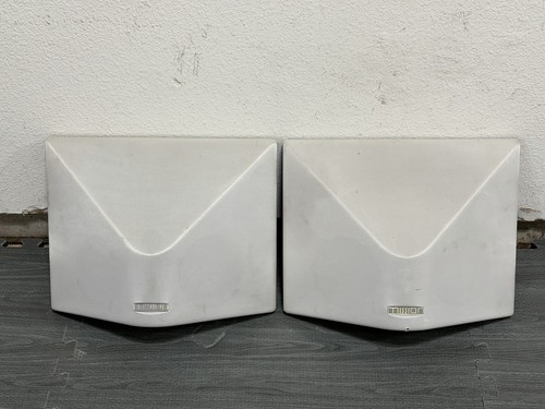 Coppia diffusori surround