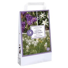Bulbi fiori assortiti primaverili in Bag - per giardino in ombra - 50x Olandesi
