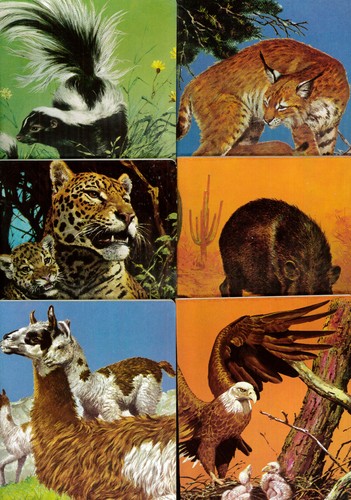 Quaderni anni animali - '70,