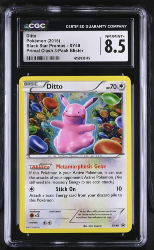 Cgc ditto xy40 - 8.5,