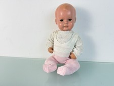 Tartaruga bambola da