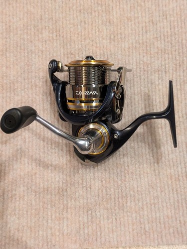 Mulinello spinning daiwa - spinning,