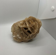 Rosa del Deserto Vintage -