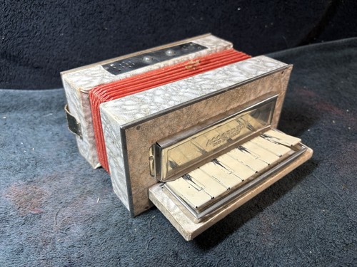 Piccola fisarmonica vintage