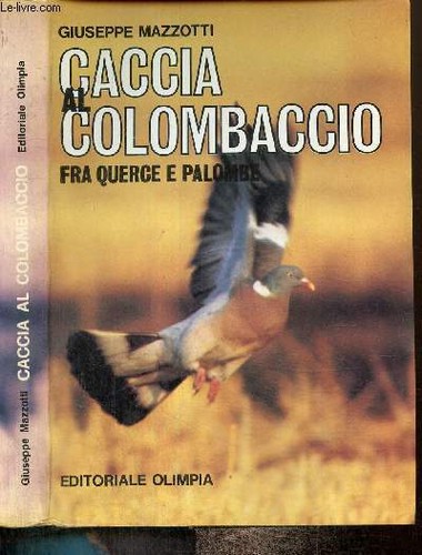Caccia colombaccio fra - caccia,