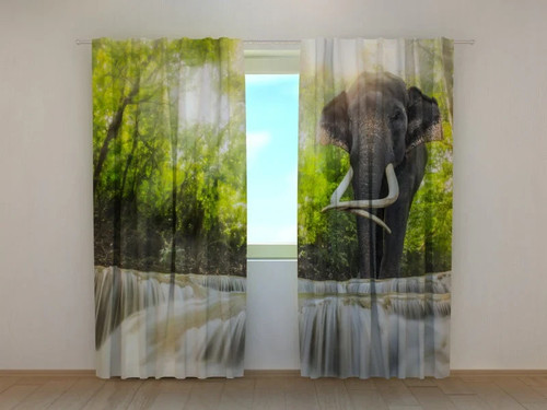 Tende grande elefante - tende,