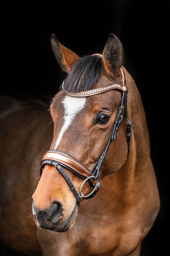 Equipride briglia anatomica - equipride,