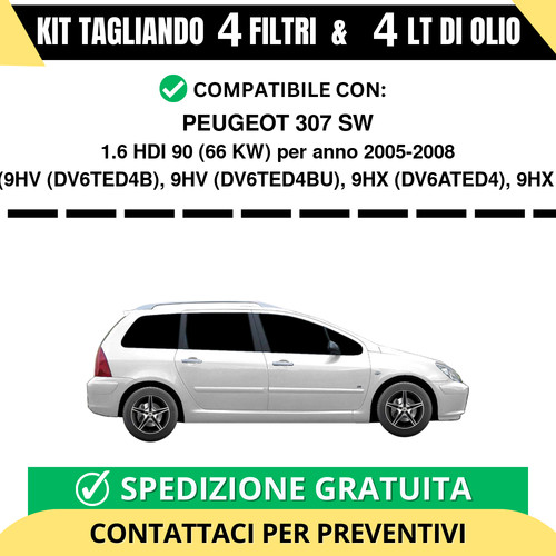 Tagliando per peugeot - tagliando, 307