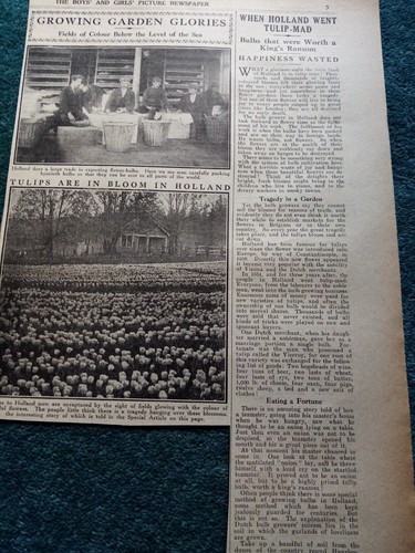 B4b ephemera 1924 picture - b4b,