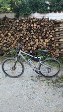 Bici trekking riverside - trekking, 900