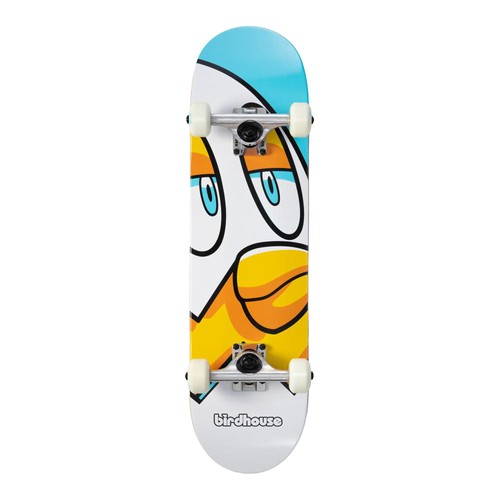 Birdhouse stage pollo - 1,