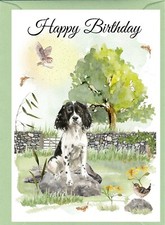 Biglietto compleanno Springer
