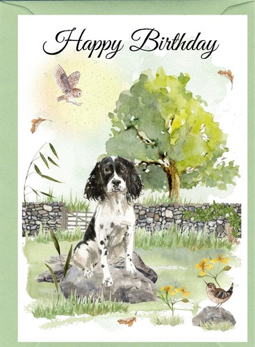 Biglietto compleanno springer - biglietto,