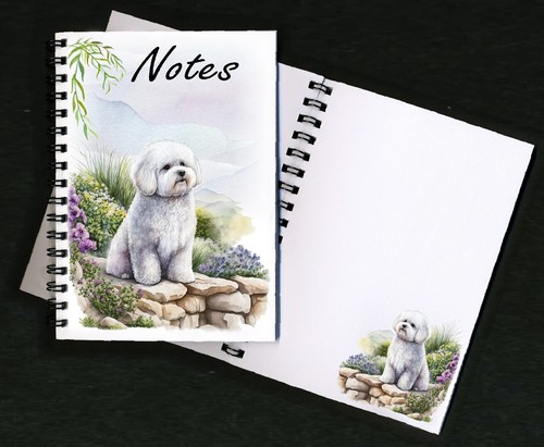 Bichon frise dog - bichon,