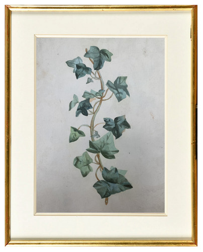 Gabriele thevenot - thevenot, (xix°)