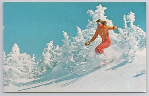 Sciatore sugarbush north - sciatore,