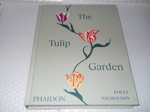 Tulip garden growing - garden,