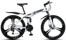 Bici Pieghevole RE 15 Ruote