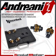 Andreani Pistoni Pompanti Compressione + Estensione Suzuki GSX-R 600 2007 07