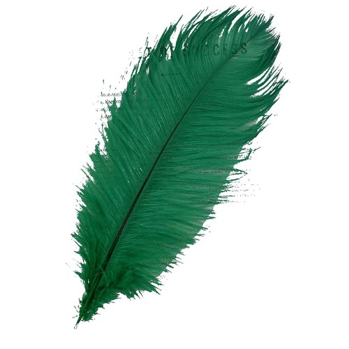 Pezzi piume struzzo - 10,