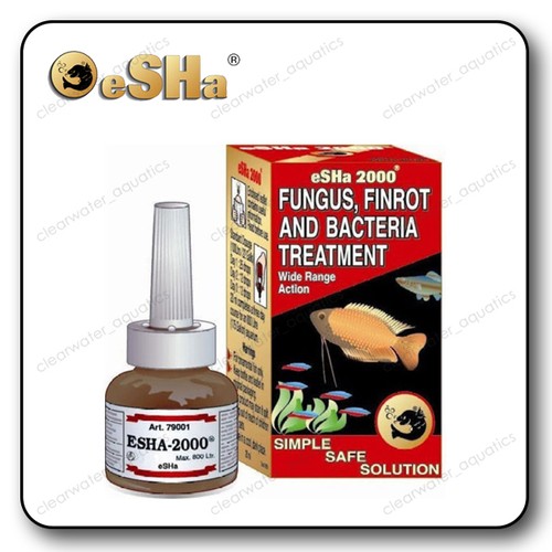 Esha 2000 funghi - funghi, e