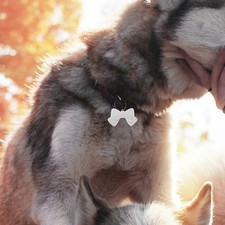 Targhetta identificativa per