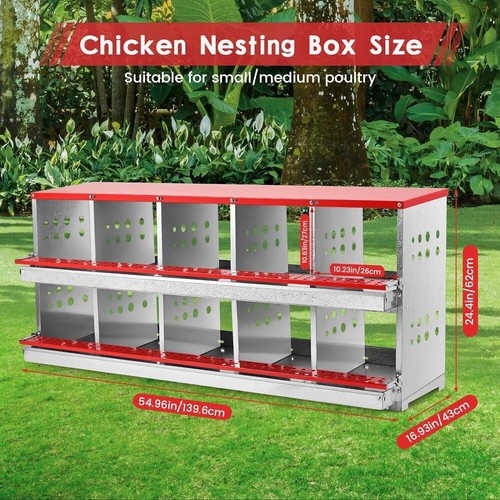 Scatola nido pollo - , contenitore