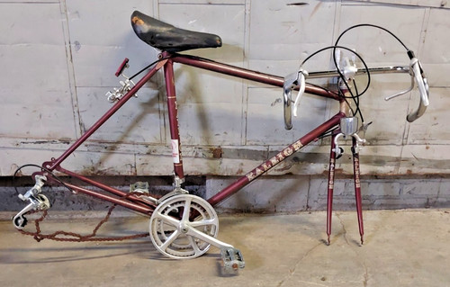 Set telaio bici - da, strada