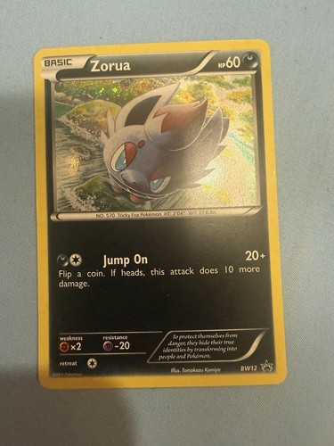 Carta promo pokémon tcg zorua - carta,
