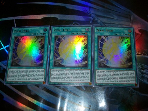 Campo zexal edizione - 3x, 1°