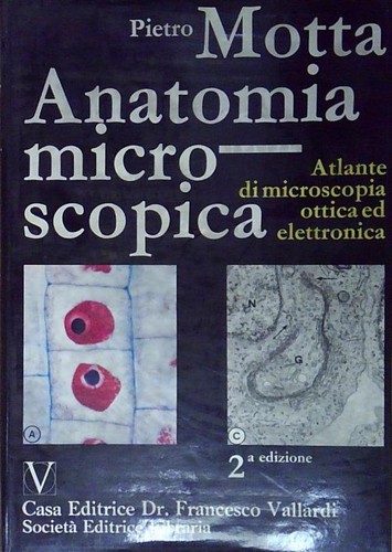 Motta anatomia microscopica - ,