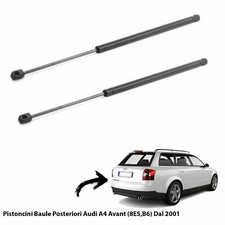 2 MOLLE  A GAS PISTONI