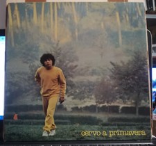 RICCARDO COCCIANTE CERVO A