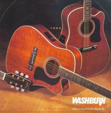 Chitarra Acustica Ventage