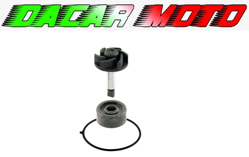 Kit revisione pompa - , acqua