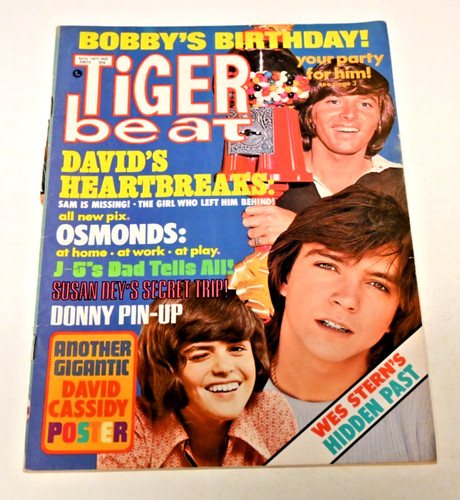 Vintage tiger beat magazine - tiger,