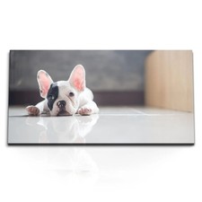 Quadri stampa artistica 120x80