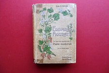 Erbario Figurato con riguardo alle Piante Medicinali Hoepli Milano 1923 2° Ediz.