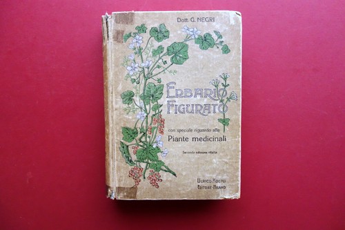 Erbario figurato con riguardo - figurato,